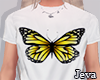 j. top butterfly f