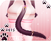 [Pets] Vida | tail v3