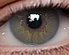Eyes