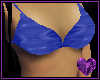 Sapphire Glow Bikini Top