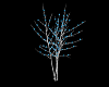 Winter Birch Tree w/lite