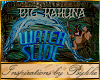 I~Sign:Big Kahuna Slide