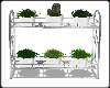 Chrome Plant Shelf