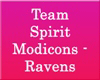 [CFD]Ravens Modicon