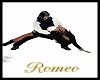 Romeo Couple Tango