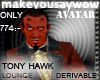 Tony Hawk "lounge"