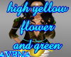 High Flower