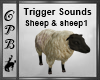 Sheep With Sound