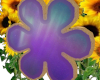 ~R~ Aurora Flower Cookie
