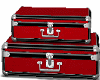 RED VACTION LUGGAGES