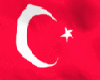 !(ALM) TURK animatedflag