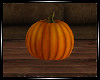 Autumn Nook Pumpkin