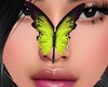 Yellow  Butterfly