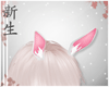 ☽ Easter Bunny Ear v4