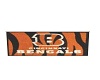 bc's Bengals Banner