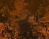 FALL MOON-PHOTOROOM