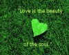 Green Butterfly