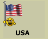 American flag smiley