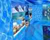 blue dolfin room