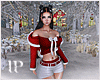 Christmas Forest PhotoR