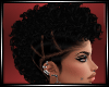 LS~Curly Mo Hawk