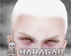 Albino Fade