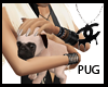 [NM] Pug Pet