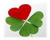 Love of the Irish