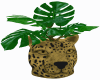 Leopard Planter