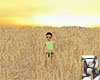 Wheat Field Animated