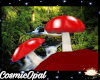 Amanita Head Mushrooms