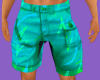 stylish shorts green