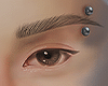 Eyebrow Piercings