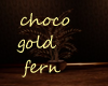 choco gold fern