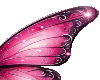 Pink wings