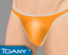 [T] Orange Swim Briefs