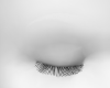 White Sexy Brows