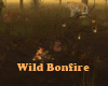 Stay Wild Bonfire