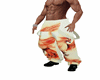 baggy phenix