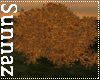 (S1)Fall Bush
