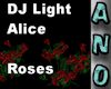DJ Light Alice Roses