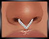 LS~Septum v3
