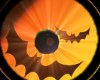 *Halloween Bat Eyes M