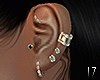 ~CR~Kina Gold Earrings