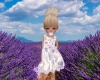 flowergirl lilac paci