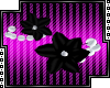 D|Black Flower Bracelets