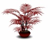 [SD] CLUB PLANT
