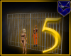 ! Iron Jail Door 5