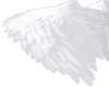 ANGEL. ALAS