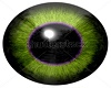 M-Green/Purple Eyes
